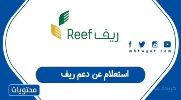 هل يشملك الدعم؟ خطوة واحدة عبر الإنترنت تحسم أهليتك. 1